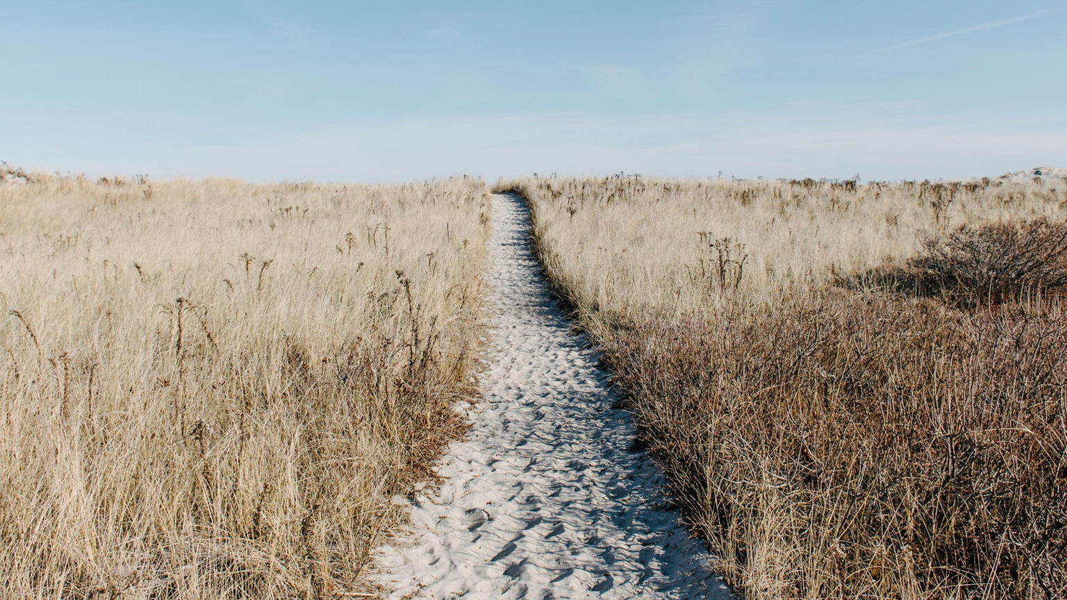 blog-strategy-path